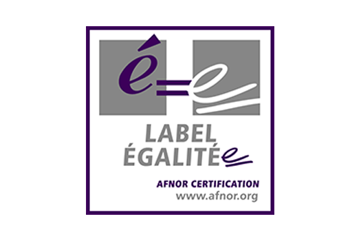 Label AFNOR 2020 Egalité Professionnelle - Synergie