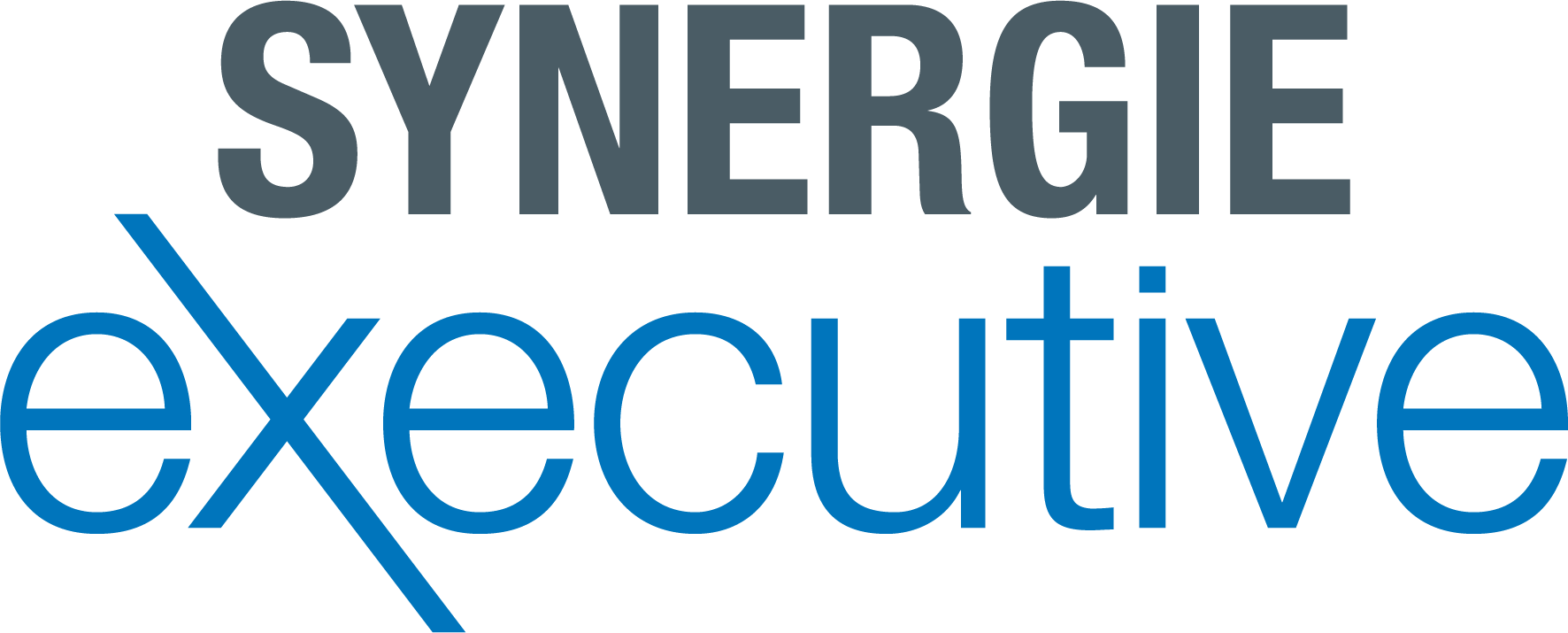 Logo Synergie Executive