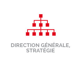 Métiers Direction Générale et Stratégie - Synergie